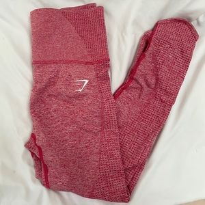 High Waisted Gym Shark Leggings